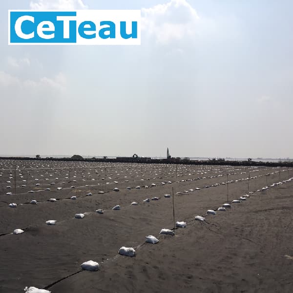 GEOFABRICS